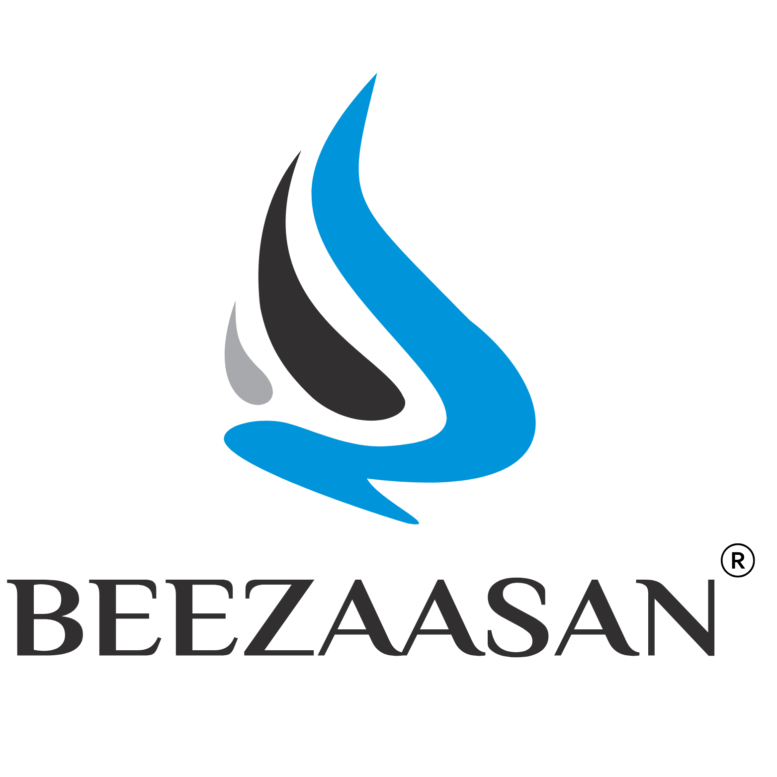 Beezaasan Explotech LTD